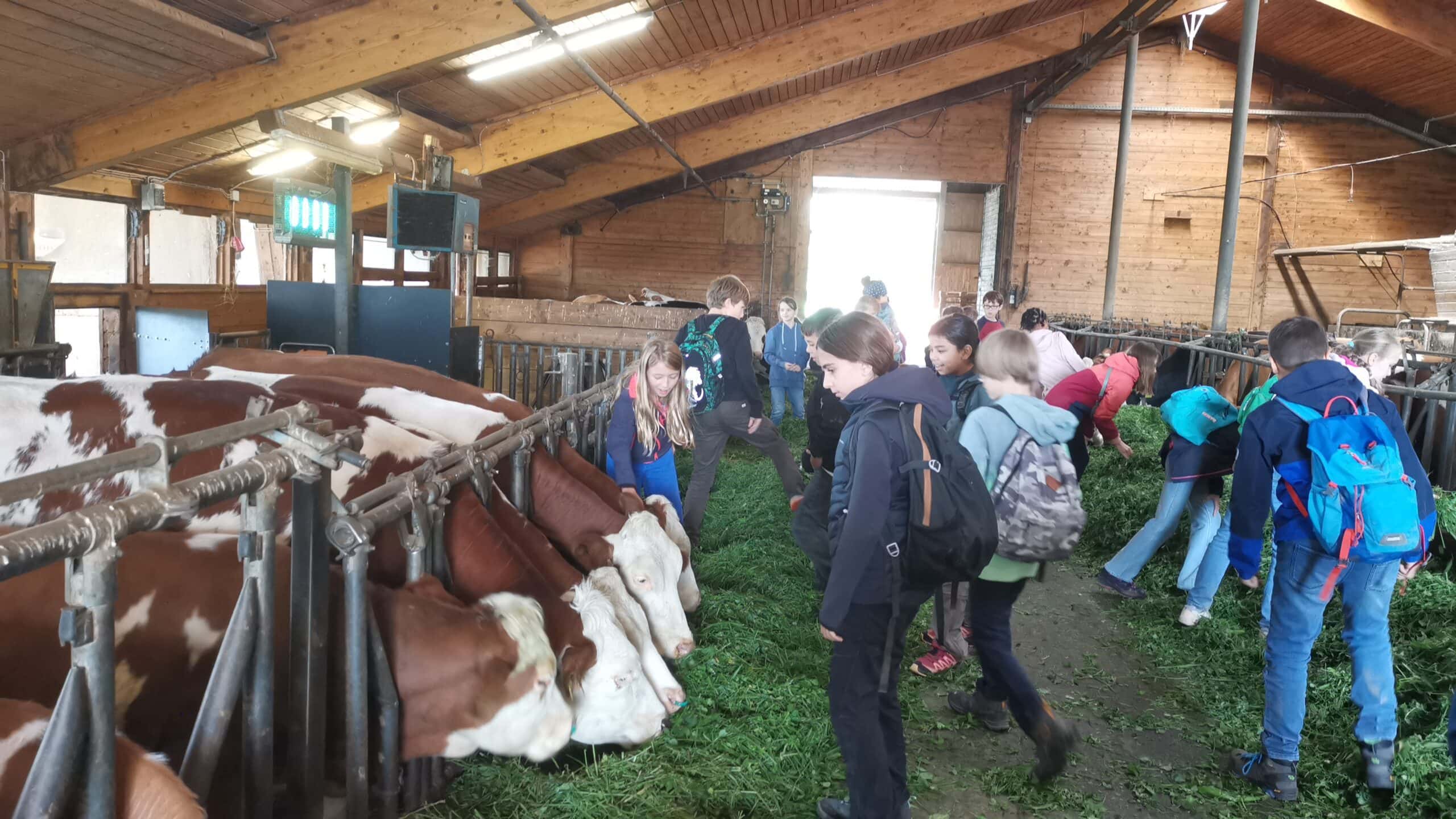 Kinder besuchen fröhlich einen Bauernhof, beobachten Kühe im Stall mit frischem Gras.